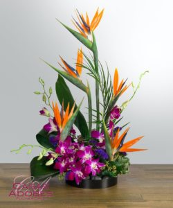 Let someone know you're thinking of them with our Signature Design, "Mahalo." Tropical, exotic and downright stunning, this stylized design features birds of paradise surrounded by lush tropical foliage and purple statice in a designer tray container.