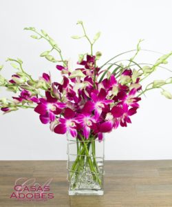 Delight their day with a beautiful array of purple dendrobium orchids straight from the islands! Dendrobium orchids are very long lasting and so colorful! This floral gift is great for a thank you, anniversary or just because!