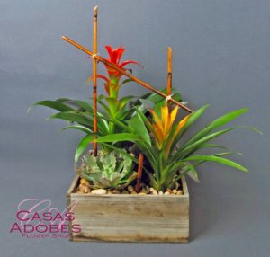 A great desktop or home addition! This easy to care for garden has tropical bromeliad and a echeveria succulent planted in a rustic planted with bamboo accents. The perfect thank you gift, also for Father's Day, or Administrative Profressional's Day! 