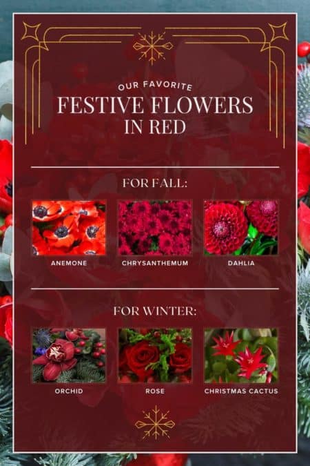 Our favorite festive red flowers 