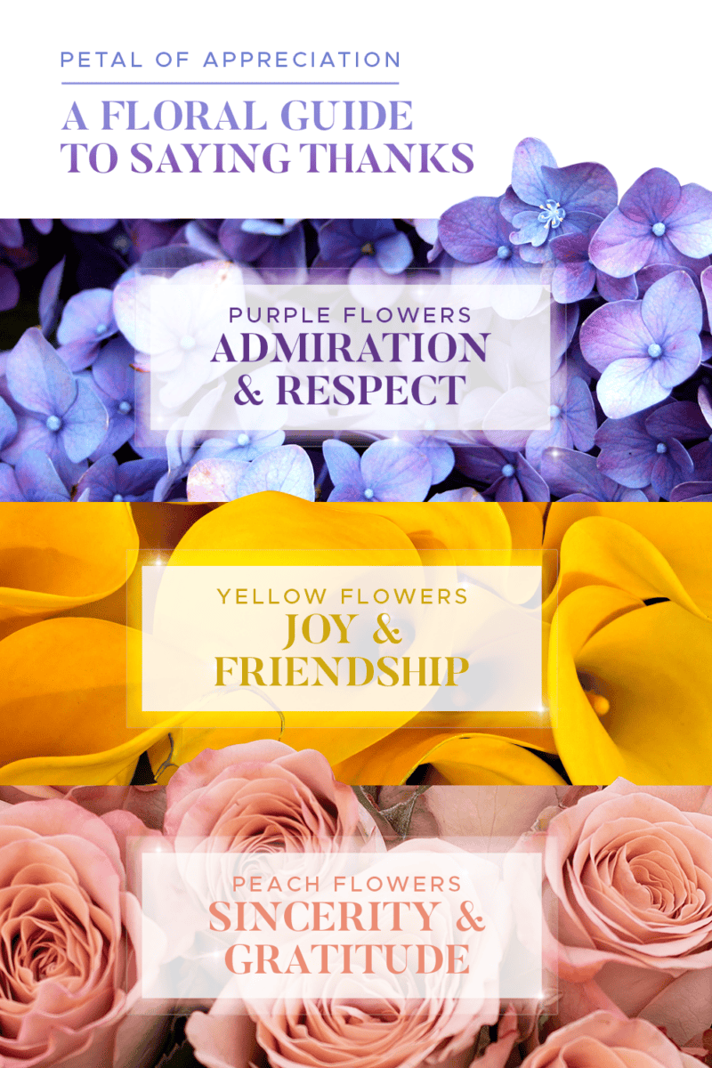 How to Create a Gratitude Bouquet with Meaningful Flowers - Casas ...